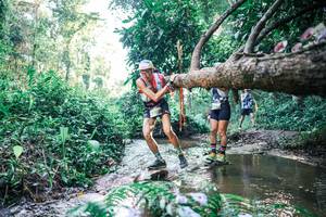 BIB: 
                            <button type="button" onclick="openModal(25435080)" class="btn btn-primary btn-sm float-right btn-popup" data-toggle="modal" data-target=".modal-high-quality">
                        <i class="fas fa-shopping-cart"></i> Add to Cart
                    </button>
                                            <button type="button" onclick="isThisMe(25435080, true)" class="btn btn-success btn-sm float-right btn-popup btn-isme hidden" data-toggle="tooltip" data-placement="bottom" title="นี่คือรูปของคุณใช่ไหม คลิกที่นี่เพื่อเอาเข้าอัลบั้ม">
                        <i class="fas fa-plus"></i> Add to album
                    </button>
                    <button type="button" onclick="isThisMe(25435080, false)" class="btn btn-warning btn-sm float-right btn-popup btn-isnotme hidden">
                        <i class="fas fa-ban"></i> Remove from album
                    </button>